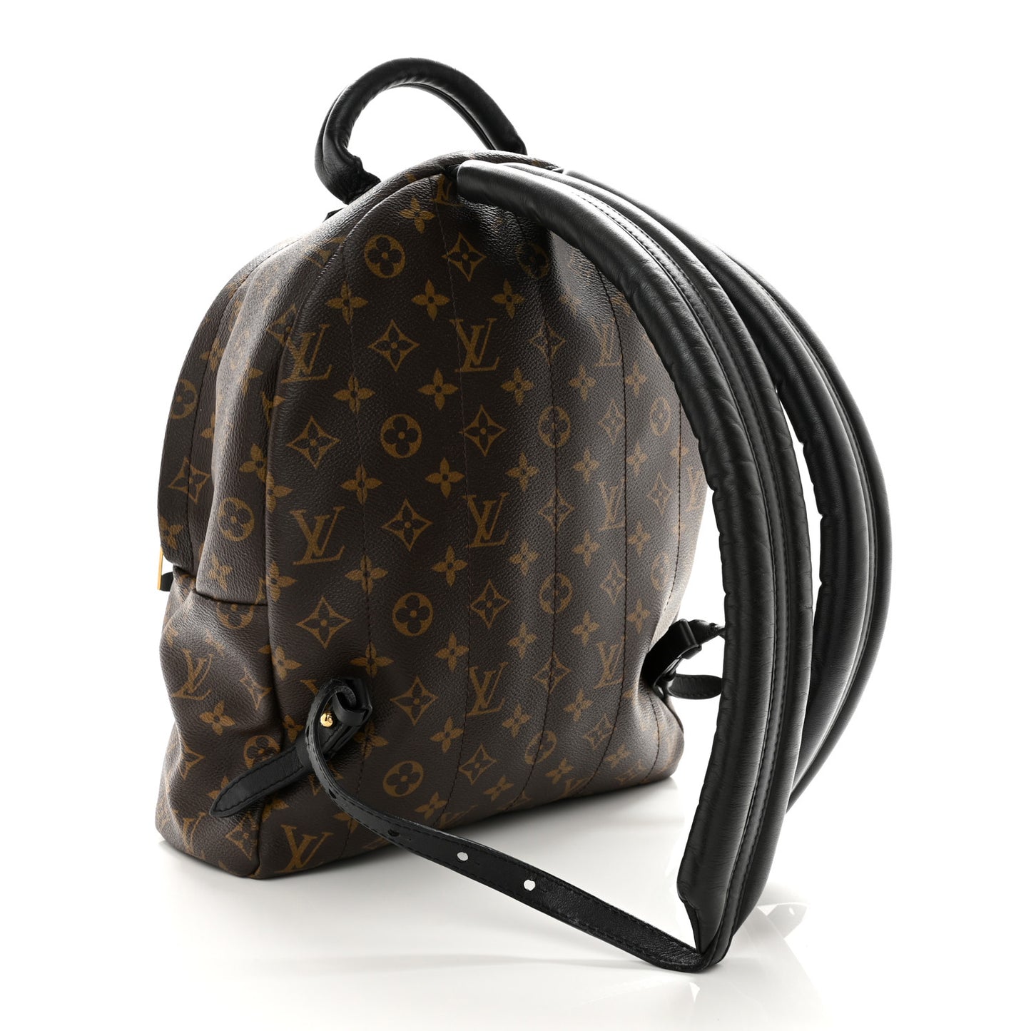 Monogram Palm Springs Backpack MM