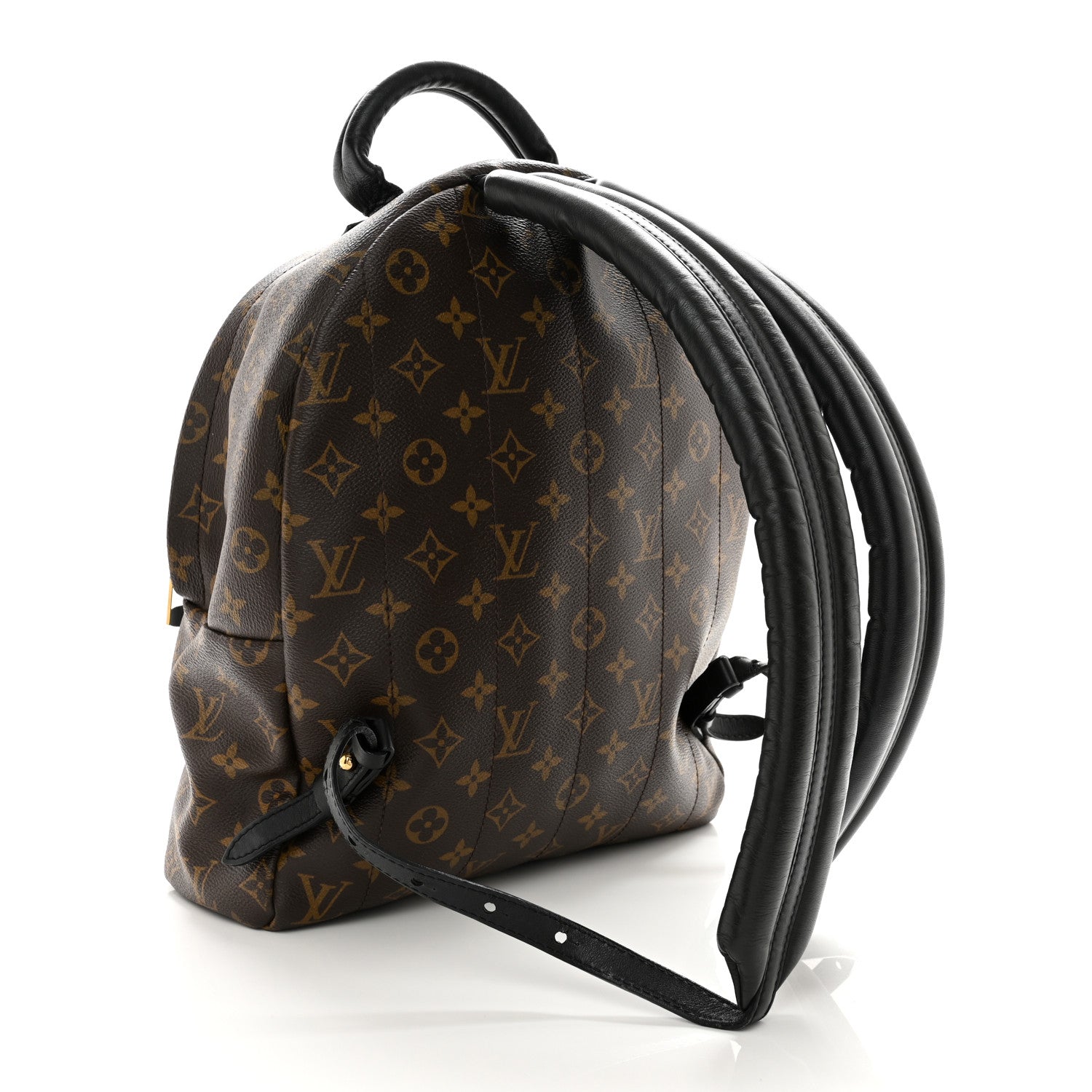Louis Vuitton Monogram Palm Springs Backpack MM 3 of 14