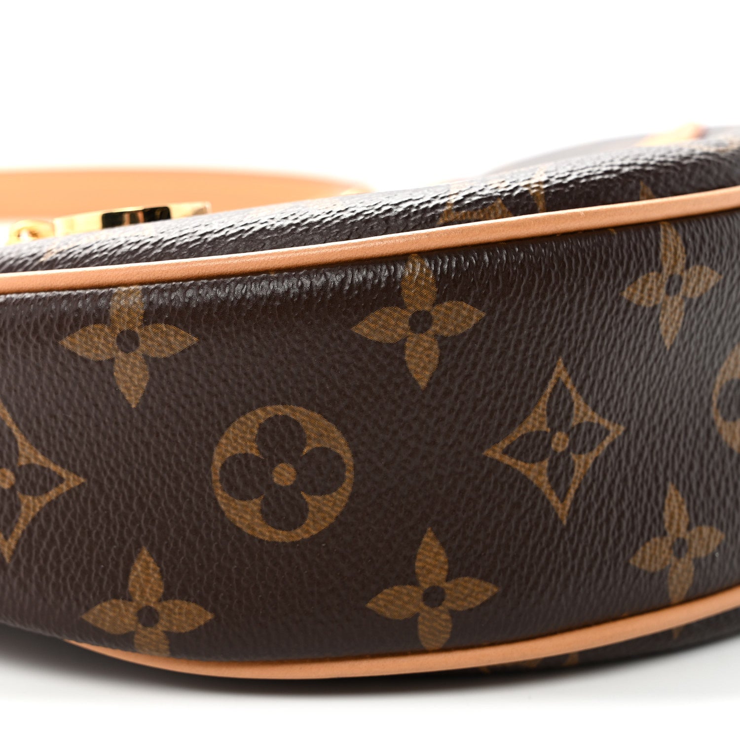 Louis Vuitton Monogram Loop 8 of 9