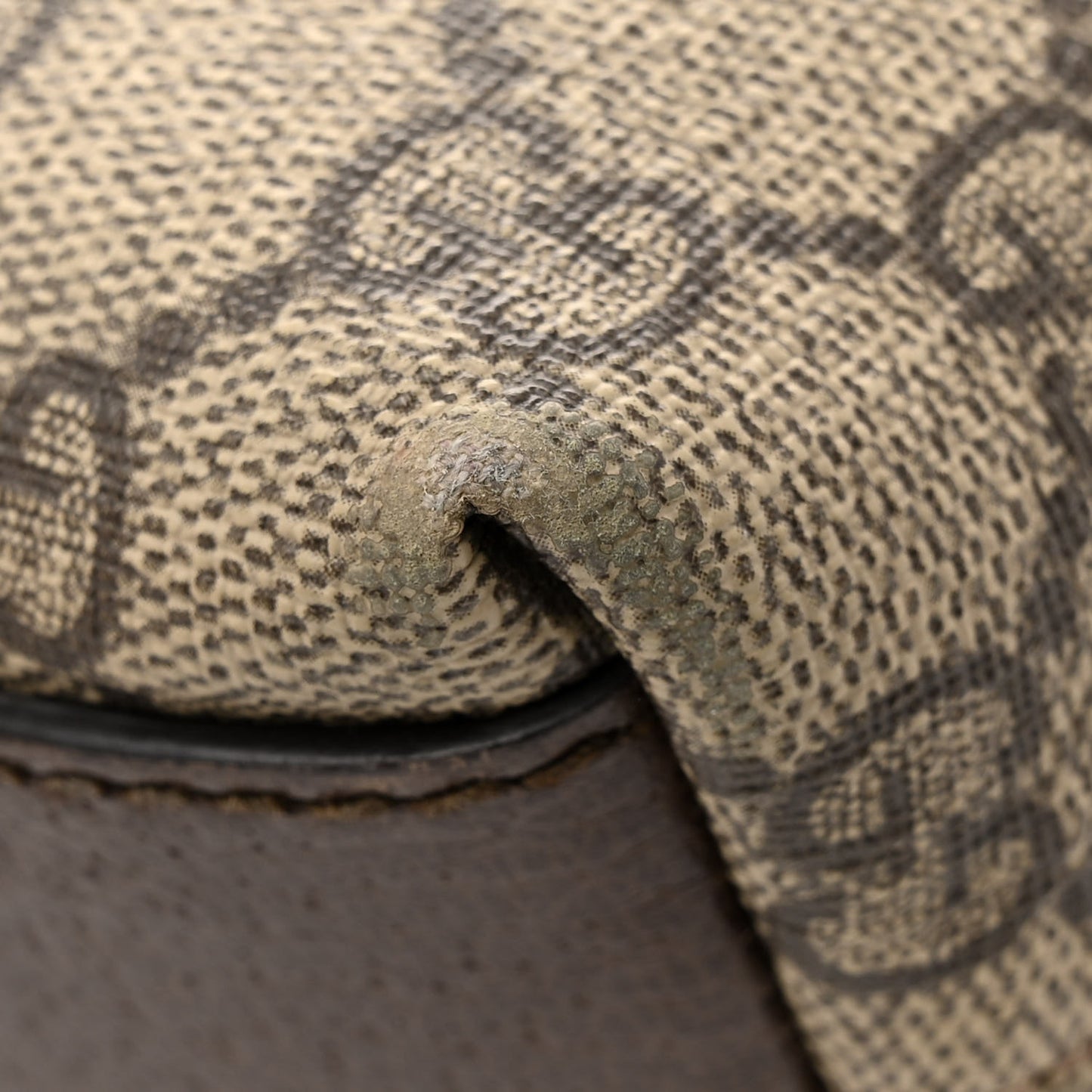 GG Supreme Monogram Textured Dollar Calfskin Web Small Ophidia Dome Shoulder Bag Beige Ebony New Acero
