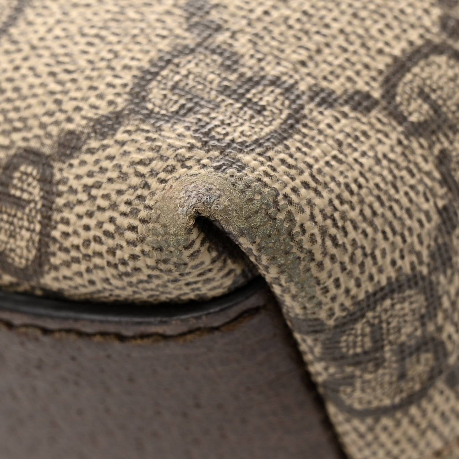 Gucci GG Supreme Monogram Textured Dollar Calfskin Web Small Ophidia Dome Shoulder Bag Beige Ebony New Acero 13 of 13
