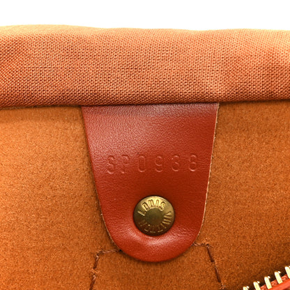 Louis Vuitton Epi Speedy 30 Kenyan Fawn 7 of 10