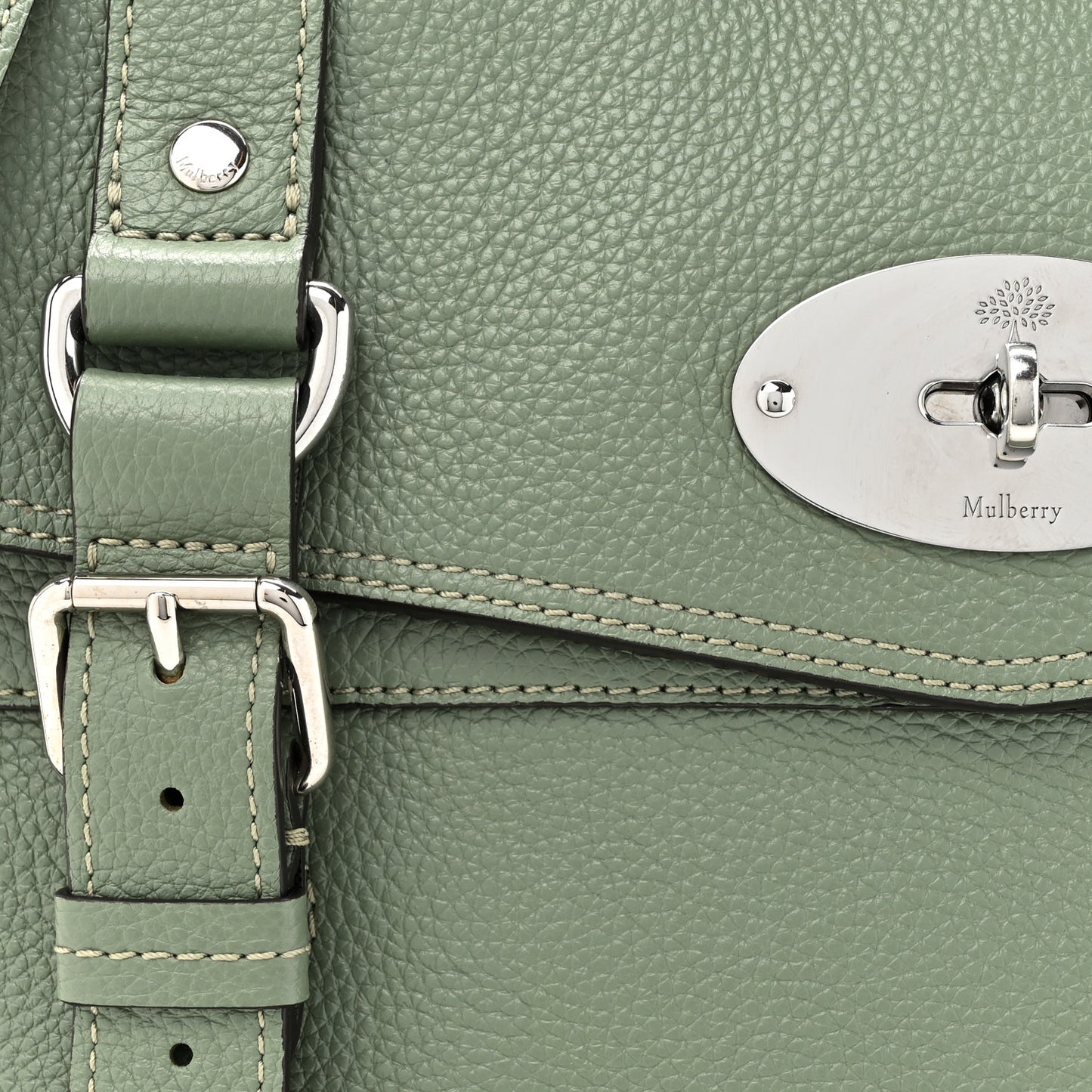 Smooth Calfskin Medium Alexa Pavement Cambridge Green