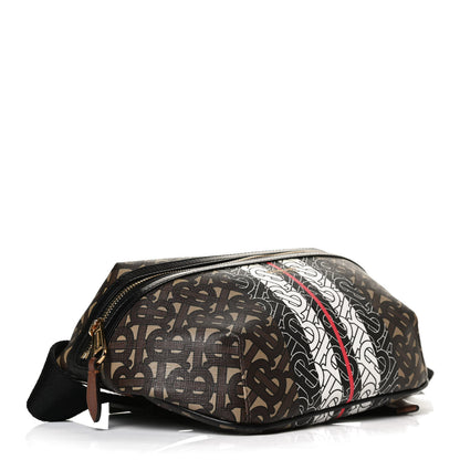 Burberry E-Canvas Monogram Stripe Medium Sonny Bum Bag Bridle Brown 4 of 13