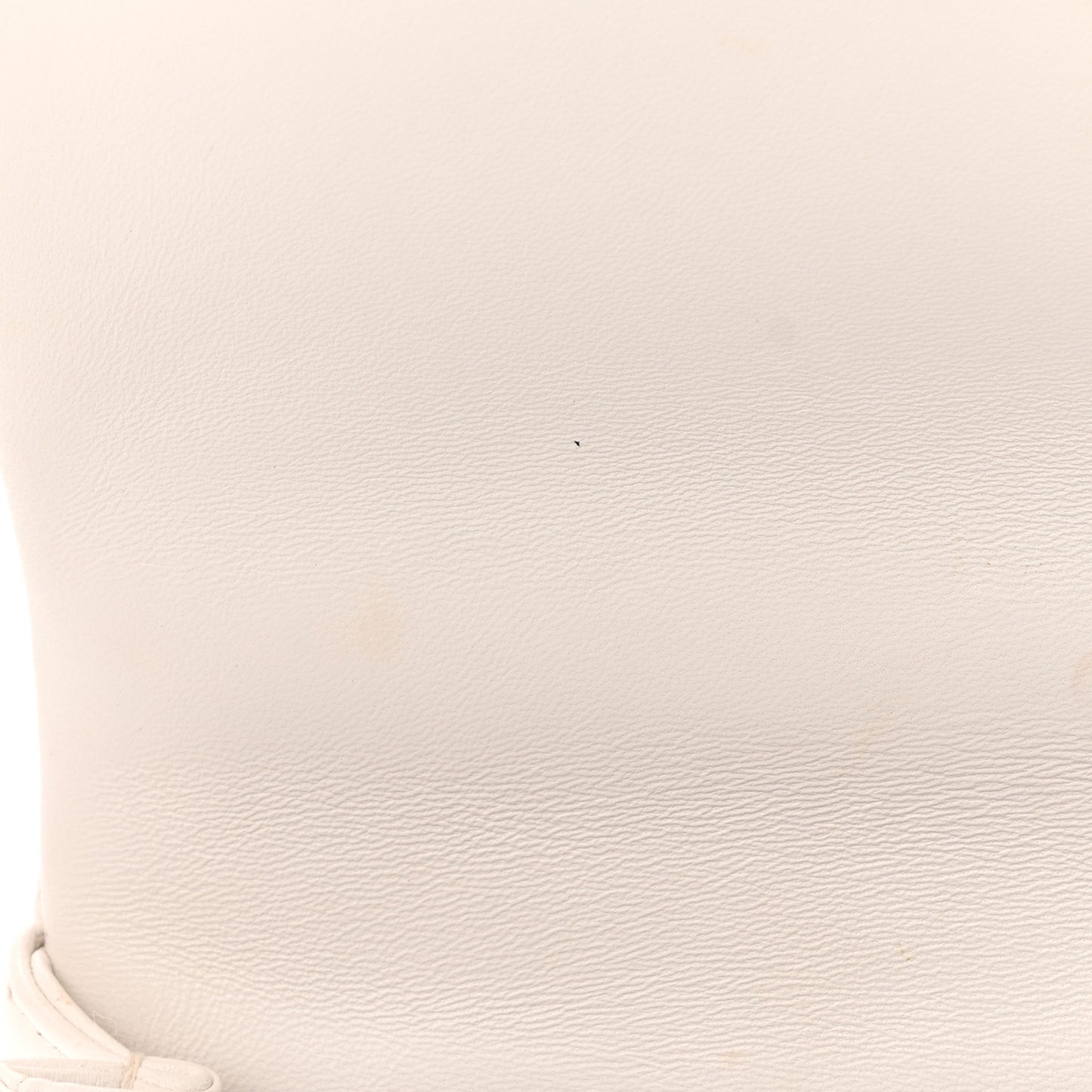 Lambskin Quilted Resin Bi-Color Chain Flap Bag White