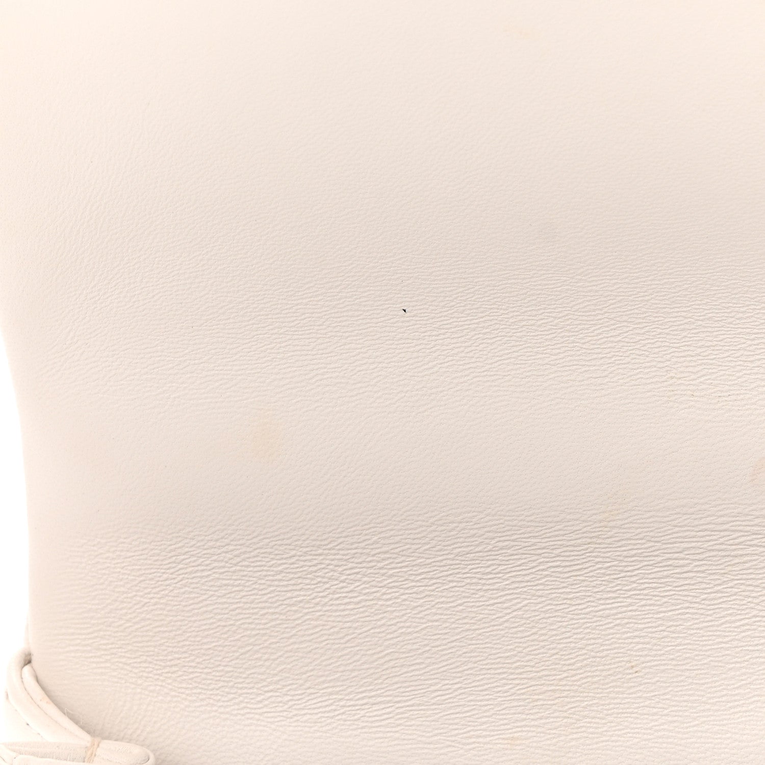 Chanel Lambskin Quilted Resin Bi-Color Chain Flap Bag White 11 of 15