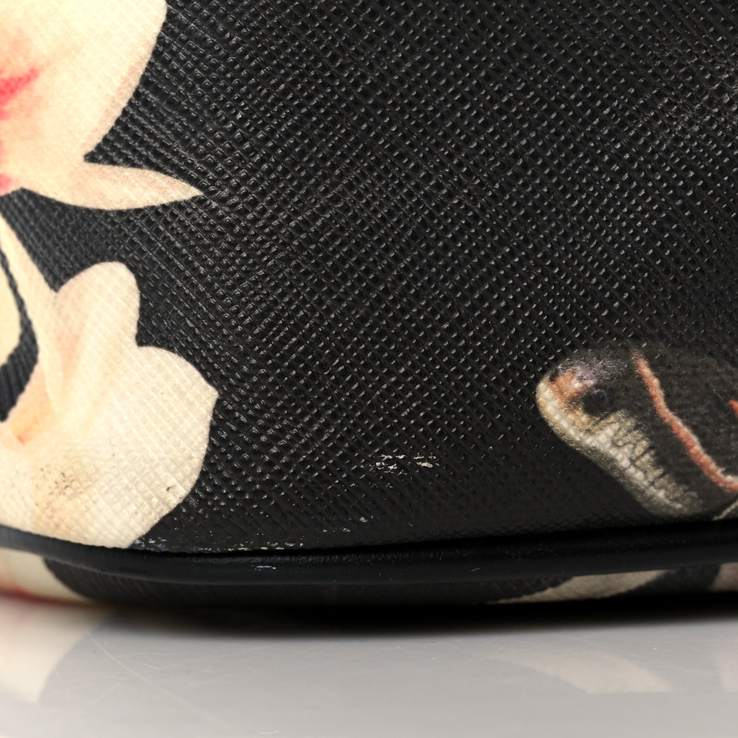 Coated Canvas Magnolia and Moth Print Medium Antigona Tote Black