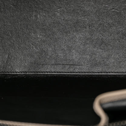 Celine Shiny Smooth Calfskin Micro Tri-Color Luggage Quartz 11 of 17