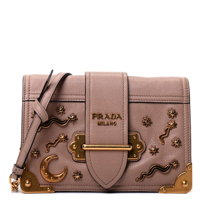 Prada Glace Calf Cahier Astrology Bag Cipria 1 of 4