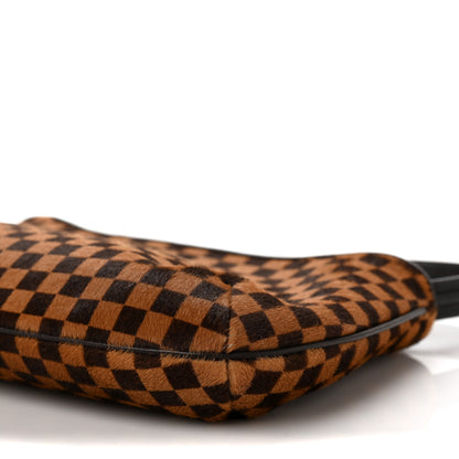 Louis Vuitton Calf Hair Damier Sauvage Tigre 9 of 9