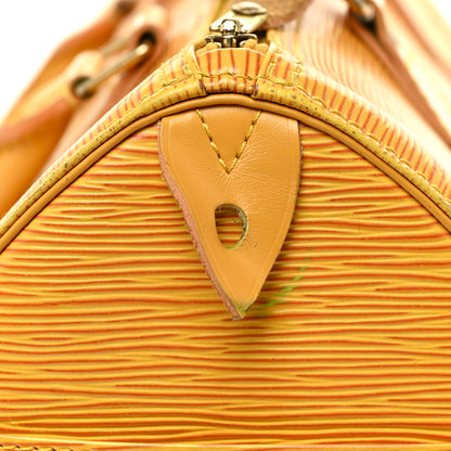 Louis Vuitton Epi Speedy 25 Tassil 16 of 22