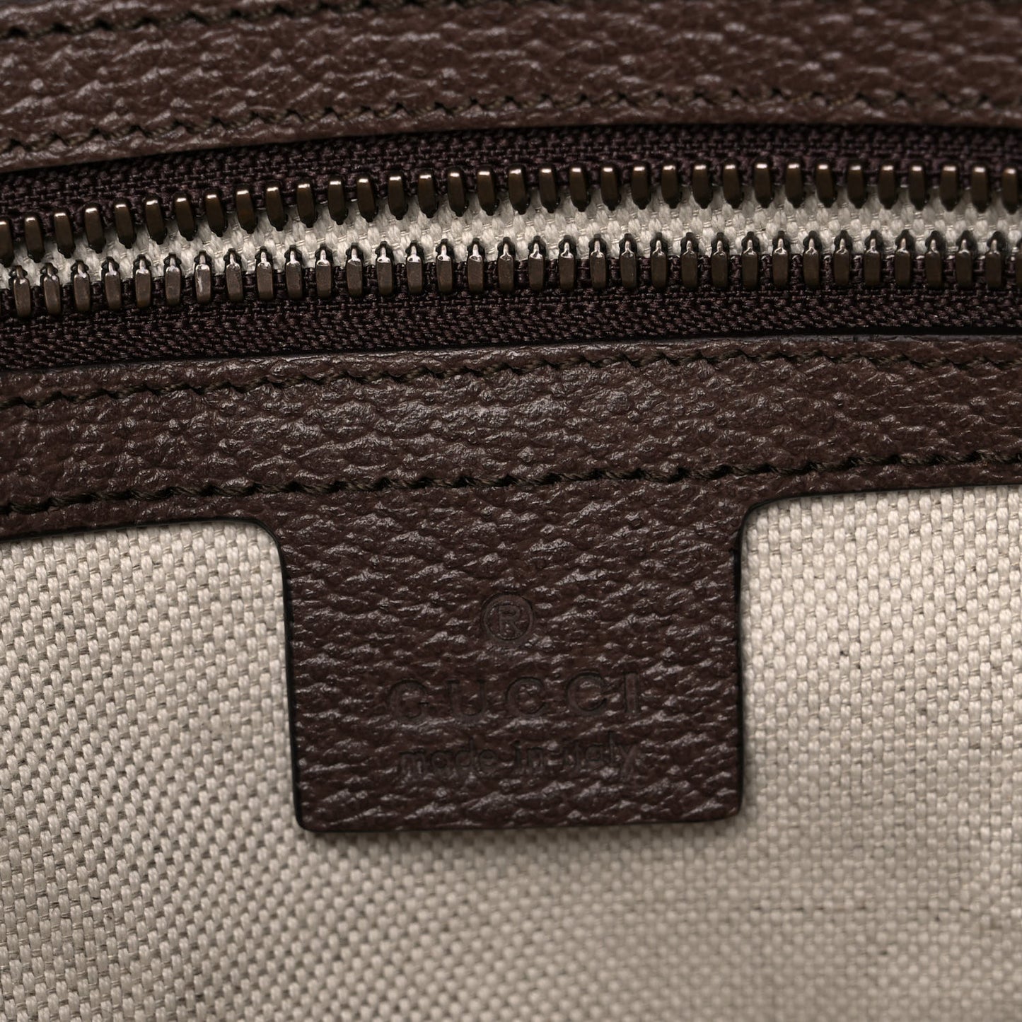 GG Supreme Monogram Web Small Ophidia Half Moon Hobo Brown