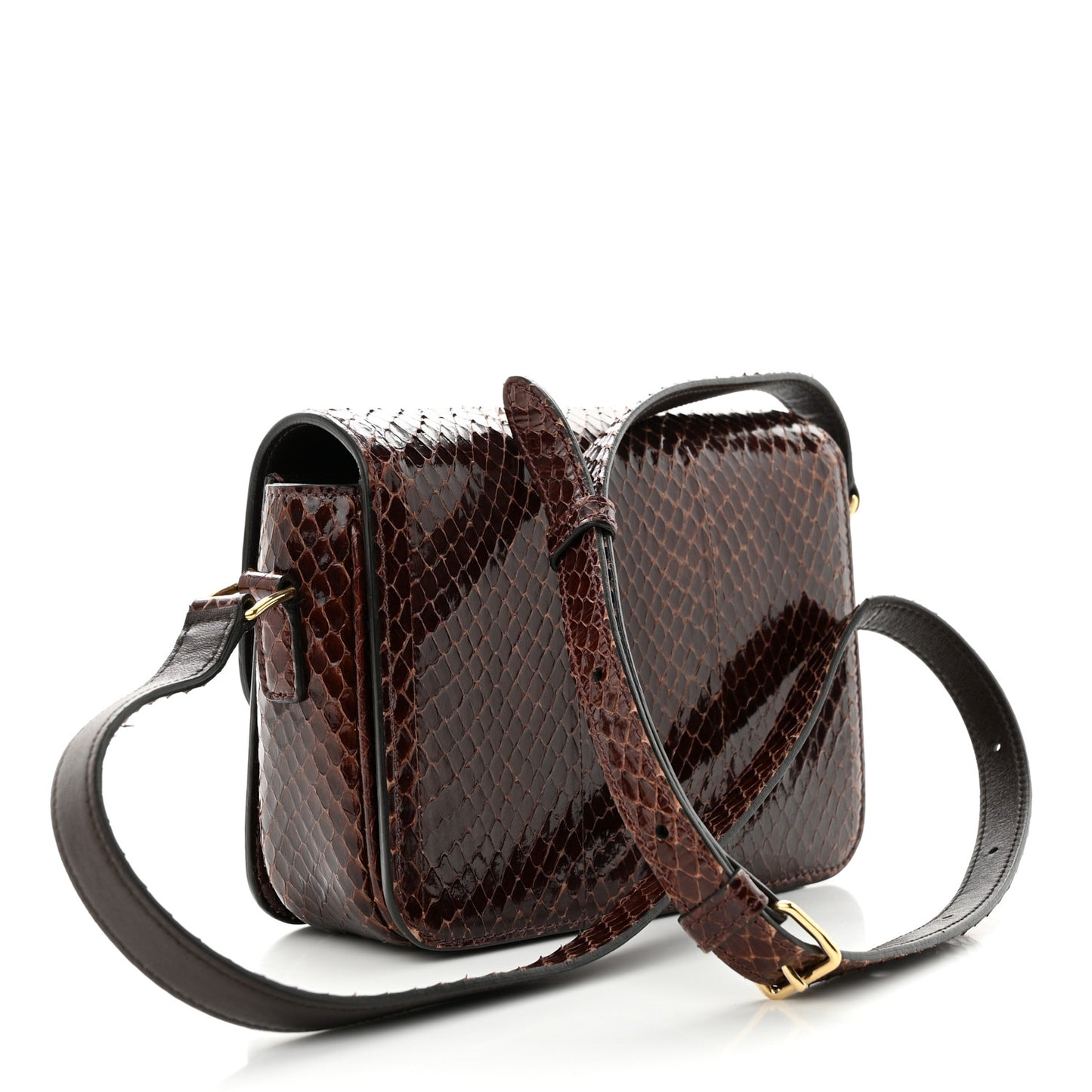 Watersnake Teen Triomphe Brown