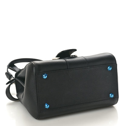 Delvaux Grained Rodeo Calfskin Mini Brillant Black 4 of 10