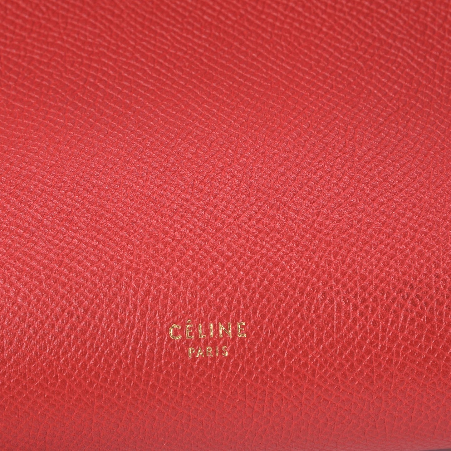 Grained Calfskin Mini Belt Bag Coquelicot