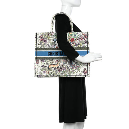 Christian Dior Canvas Embroidered Large D-Constellation Book Tote Latte Multicolor 2 of 9