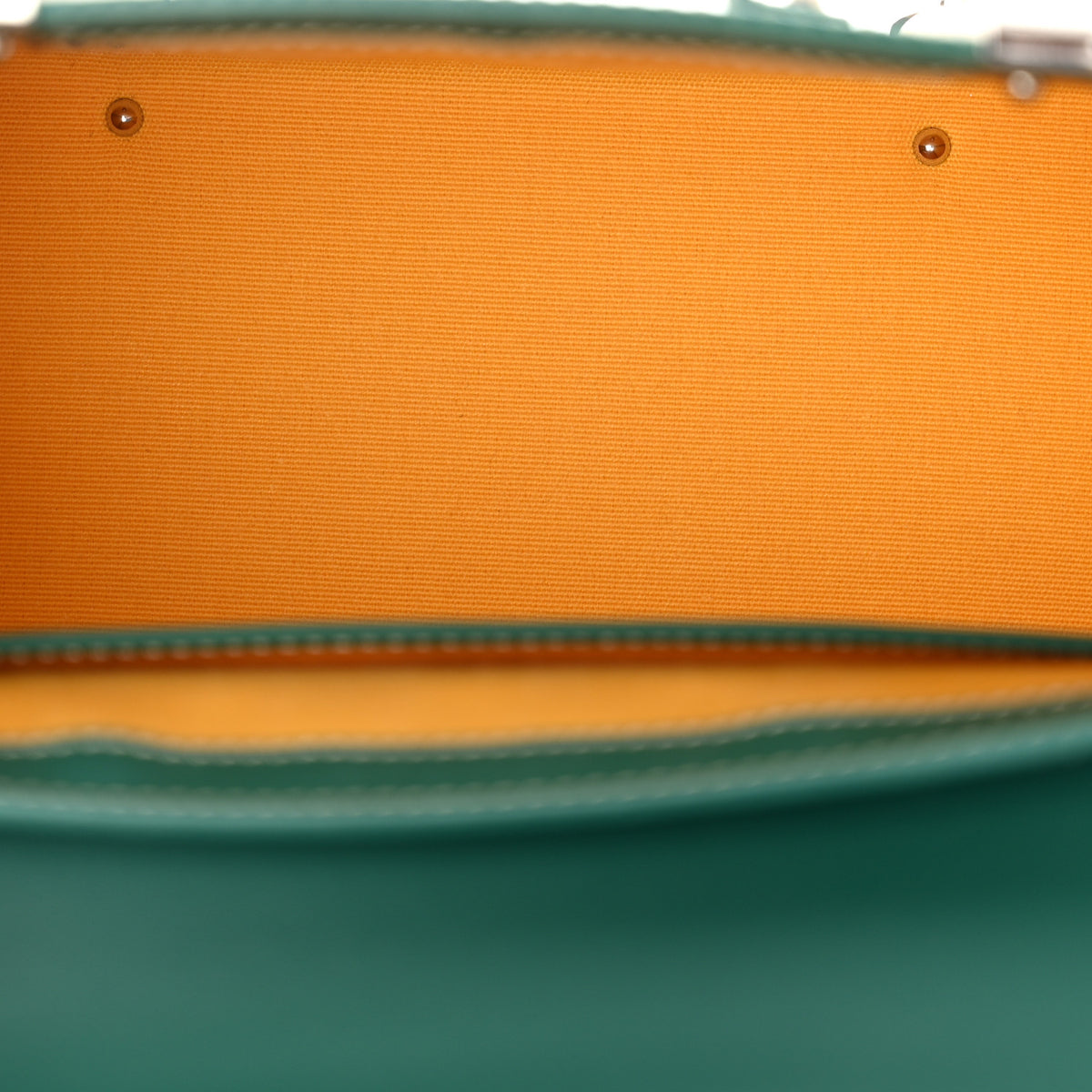 Goyard Goyardine Mini Saigon Green 5 of 10
