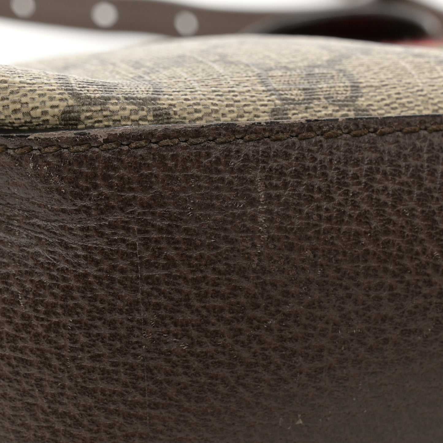 GG Supreme Monogram Textured Dollar Calfskin Web Small Ophidia Dome Shoulder Bag Beige Ebony New Acero