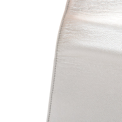 Chanel Caviar Sevruga Wallet on Chain WOC Silver 9 of 15