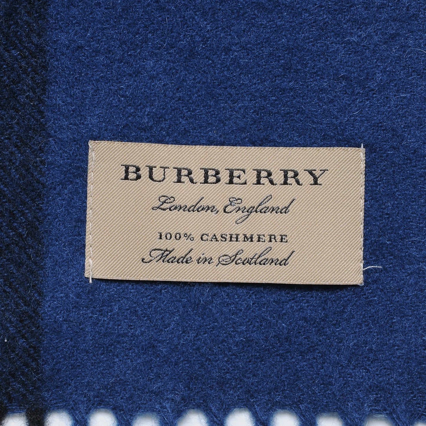 Cashmere Giant Check Fringe Scarf Blue