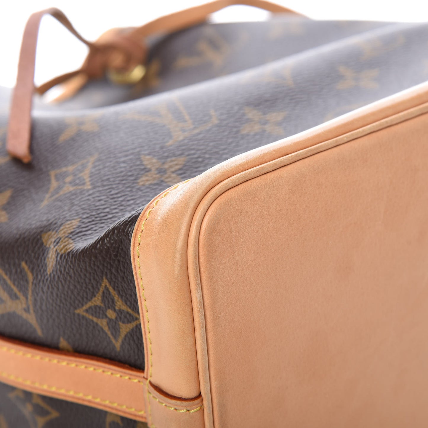 Monogram Mini Noe