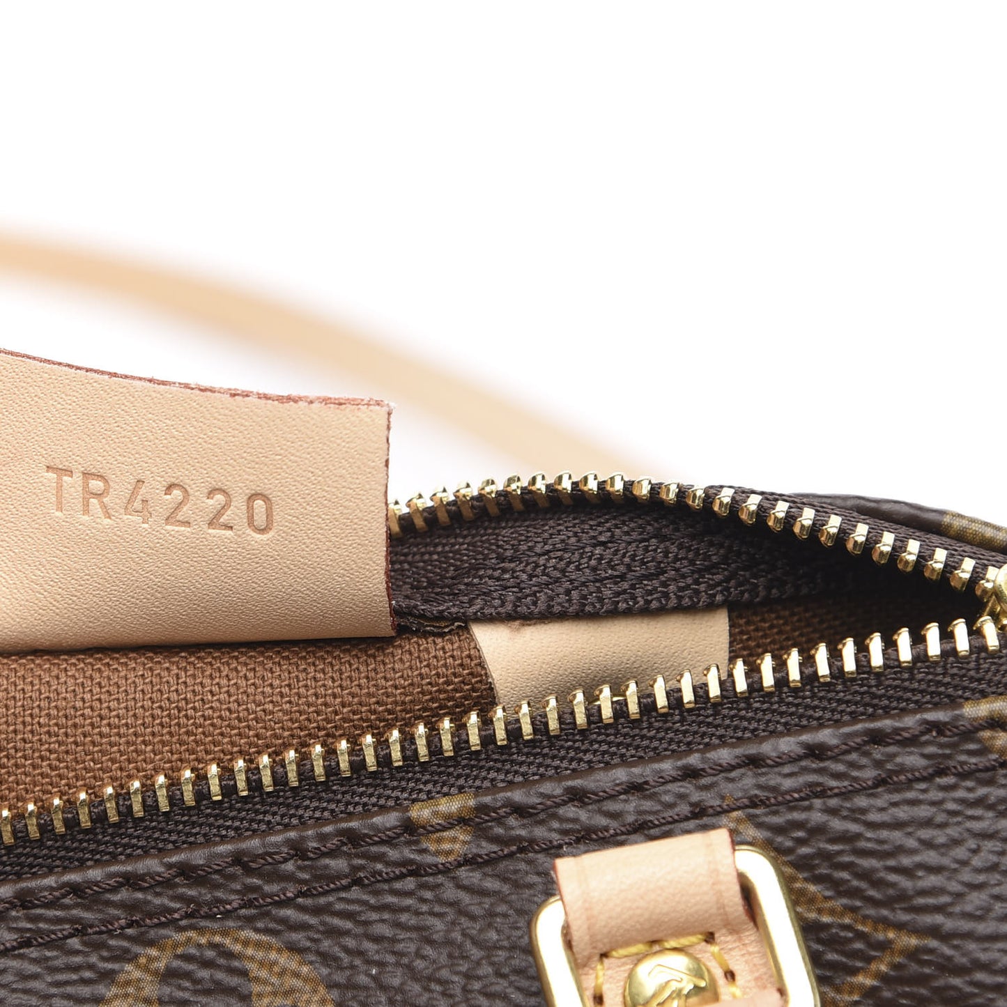 Monogram Nano Speedy