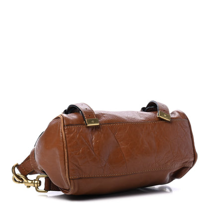 Mulberry Soft Buffalo Mini Alexa Oak 3 of 5