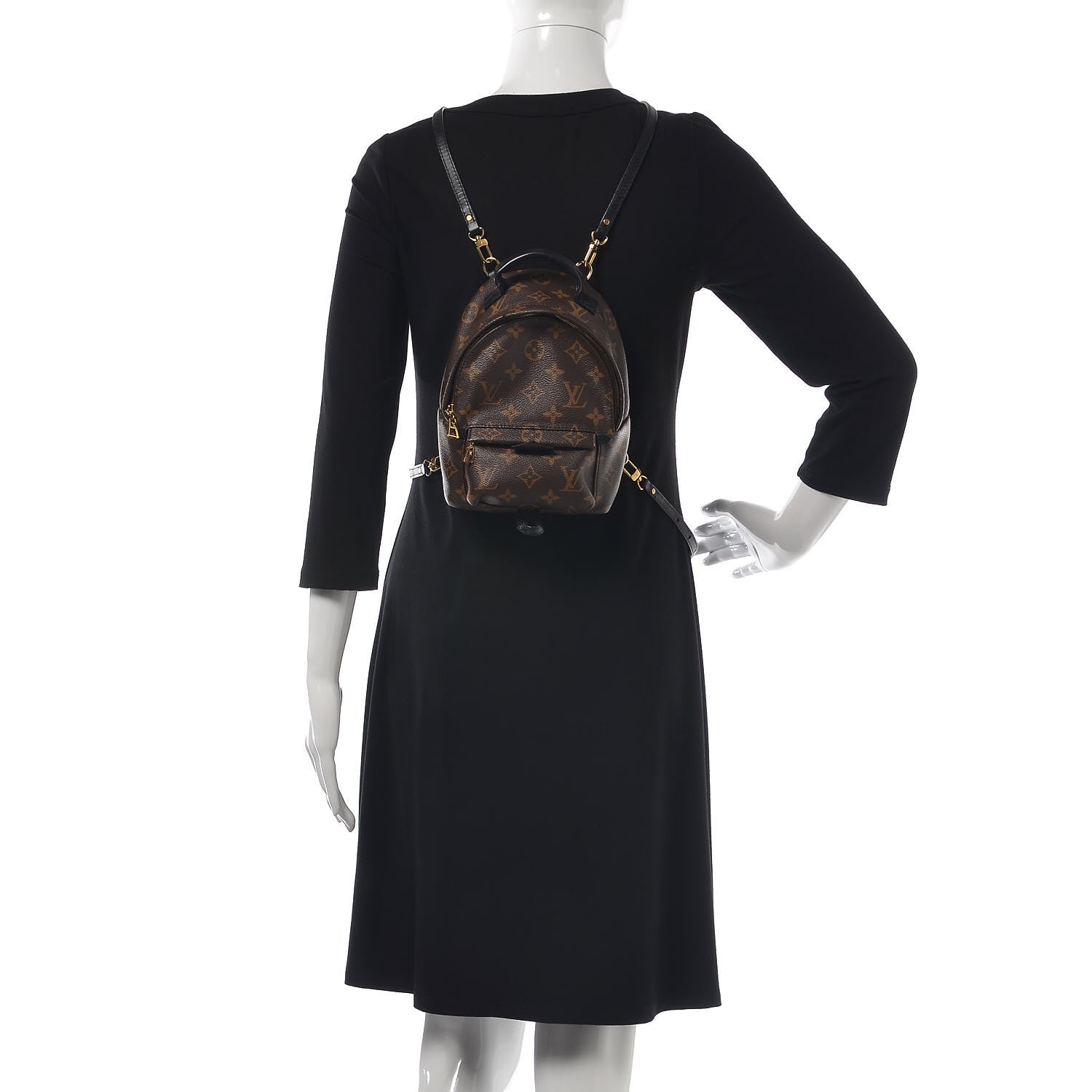 Louis Vuitton Monogram Palm Springs Backpack Mini 2 of 12