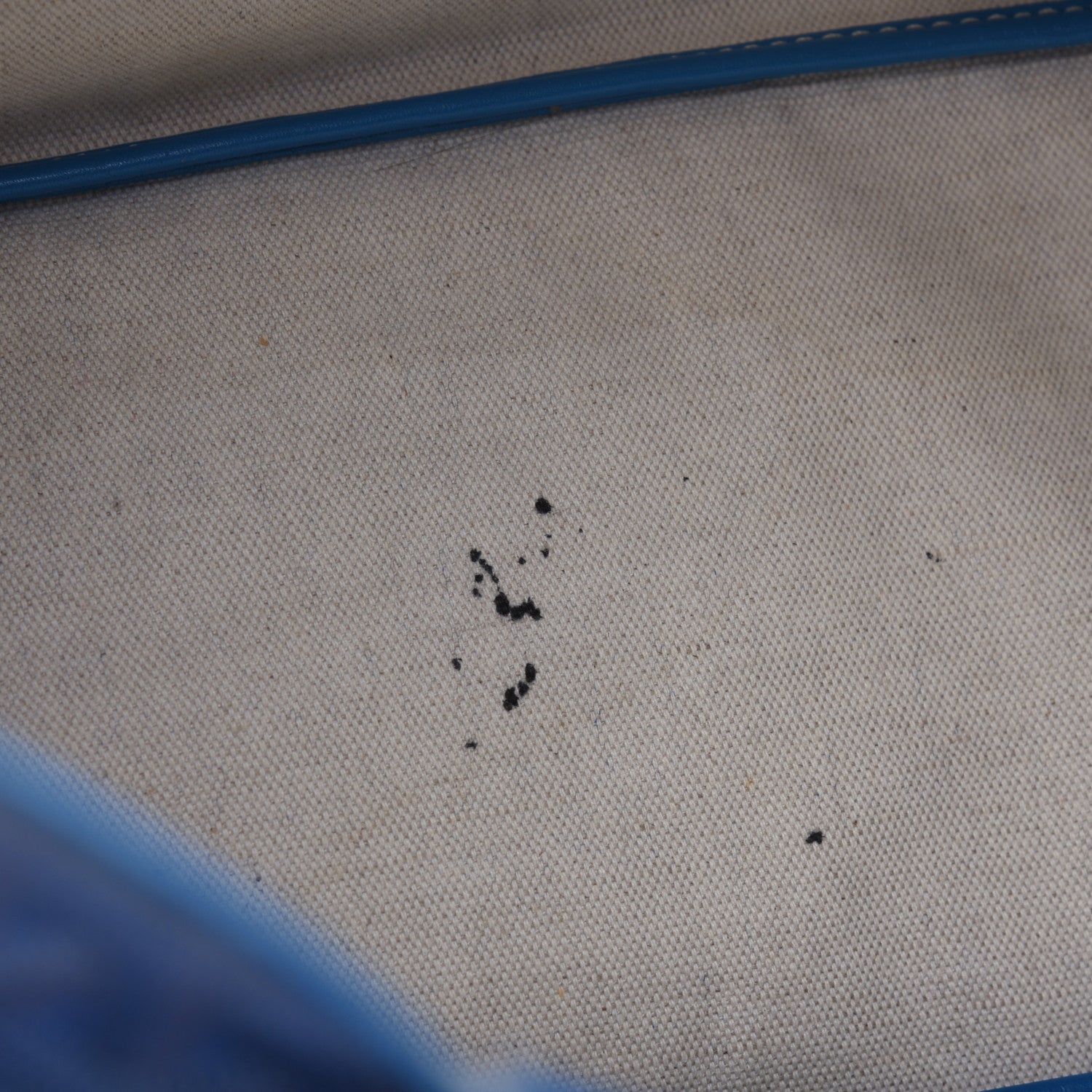 Goyard Goyardine Saint Louis PM Sky Blue 10 of 22