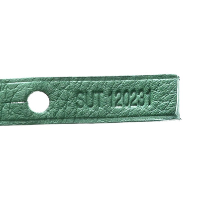Goyard Goyardine Reversible Mini Anjou Green 12 of 18