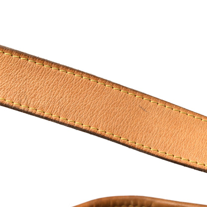 Louis Vuitton Monogram Galliera PM 19 of 20