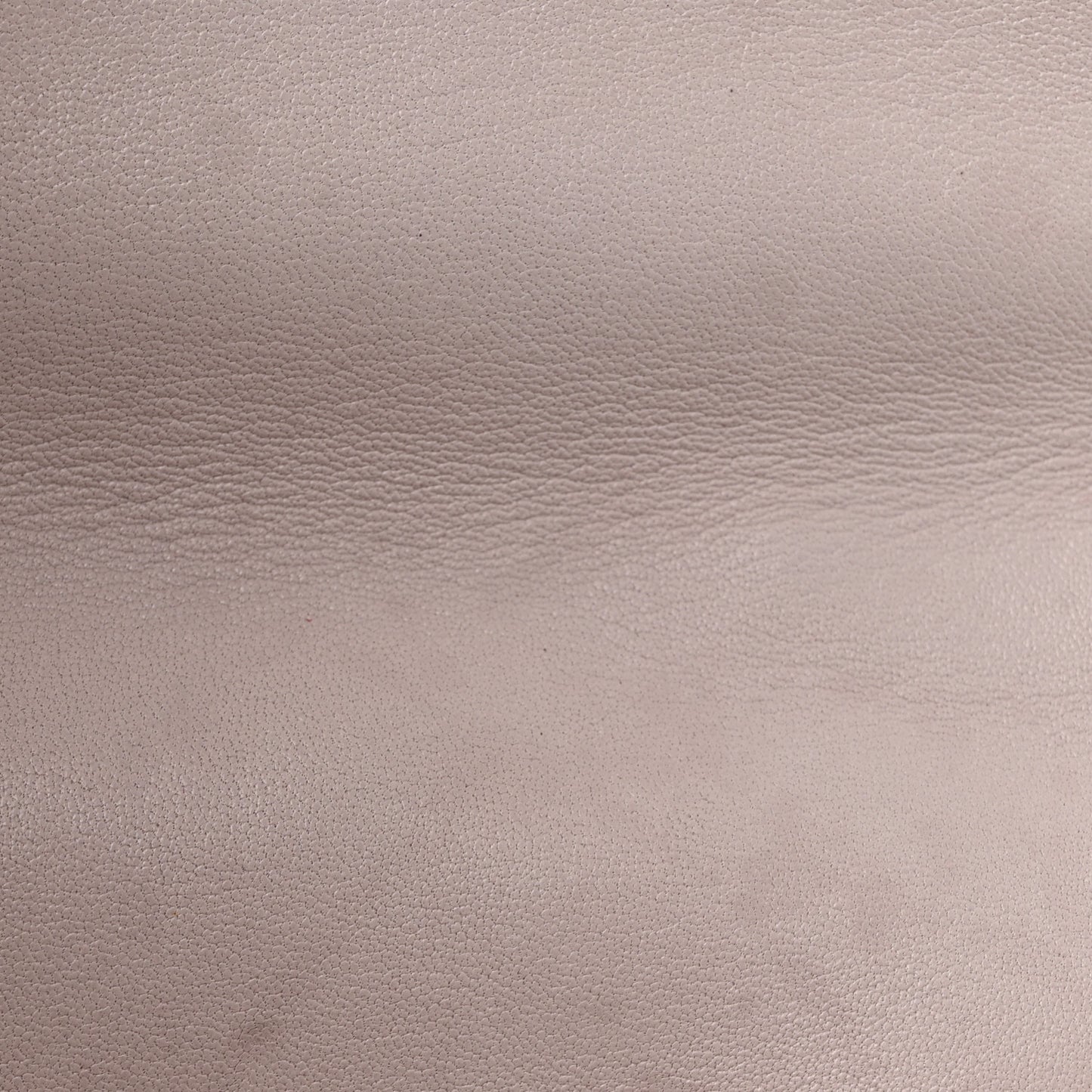 Lambskin Quilted Medium Chanel 19 Flap Light Pink