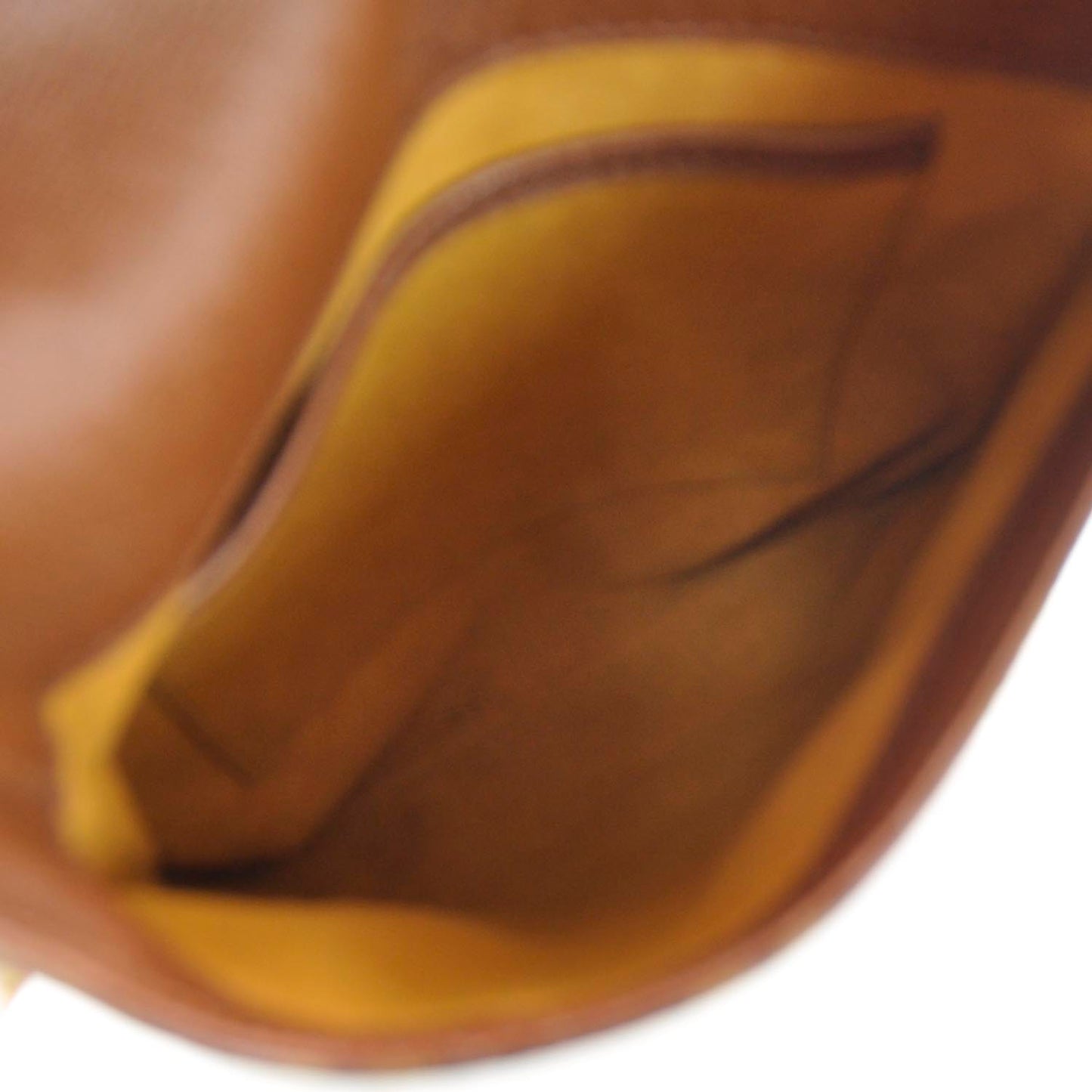 Monogram Musette Salsa