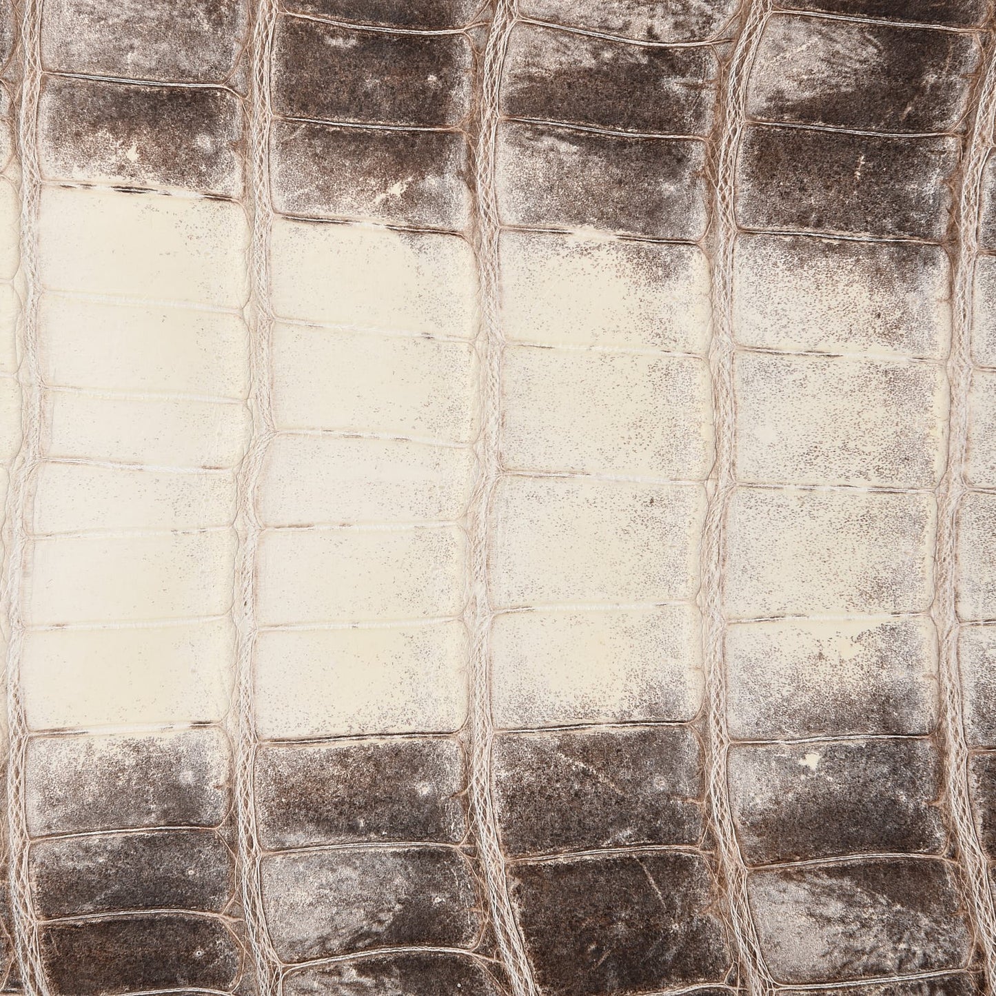 Matte Niloticus Crocodile Himalaya Birkin 30 Blanc