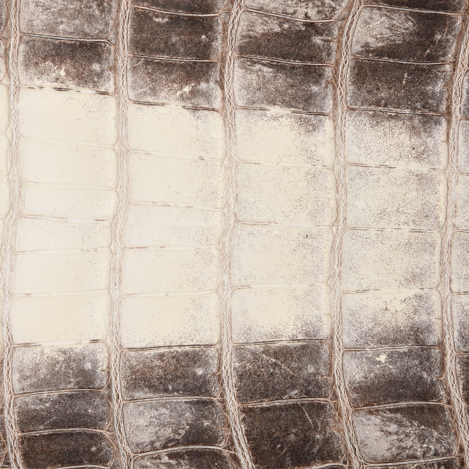 Hermes Matte Niloticus Crocodile Himalaya Birkin 30 Blanc 44 of 49