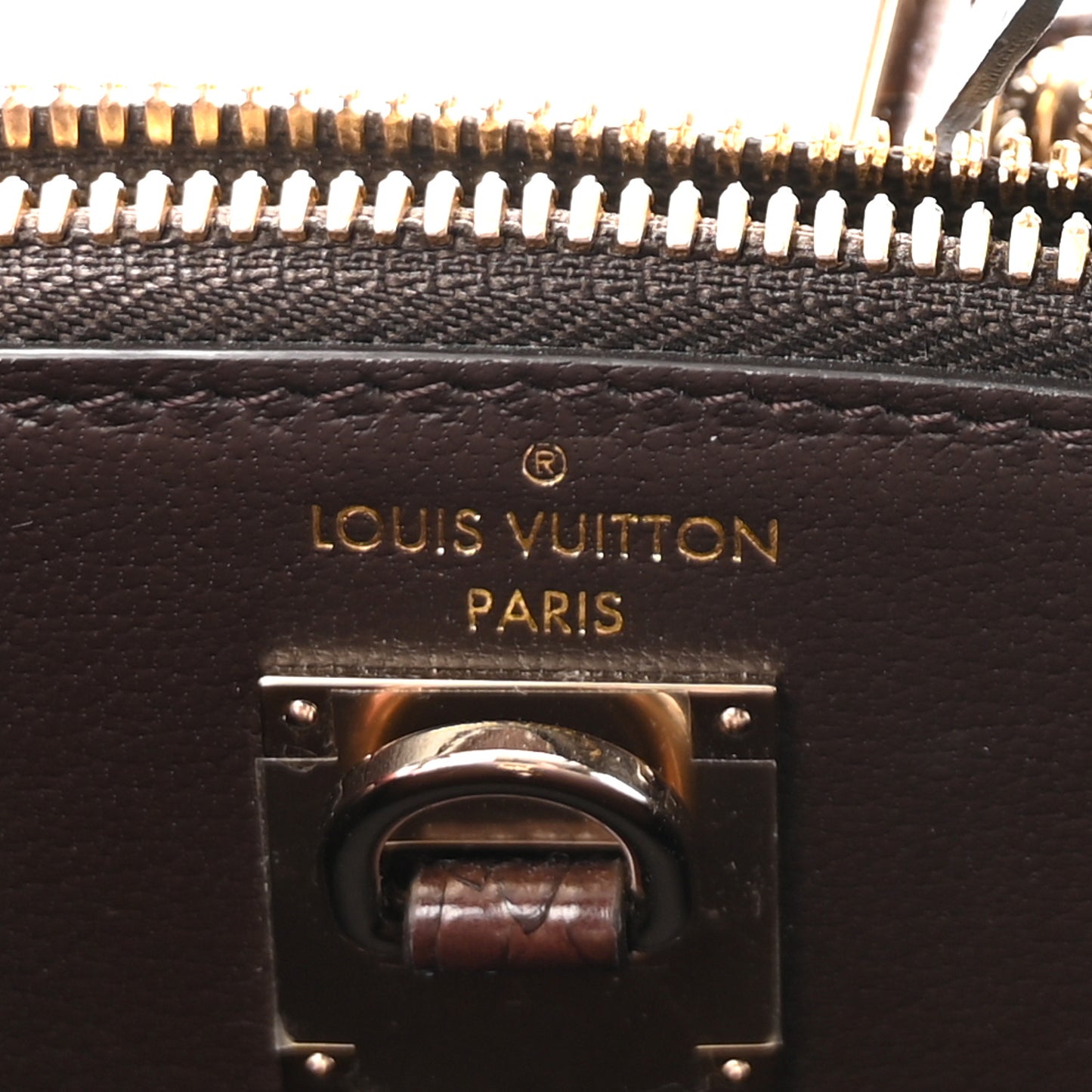 Snakeskin Monogram City Steamer Mini Brown