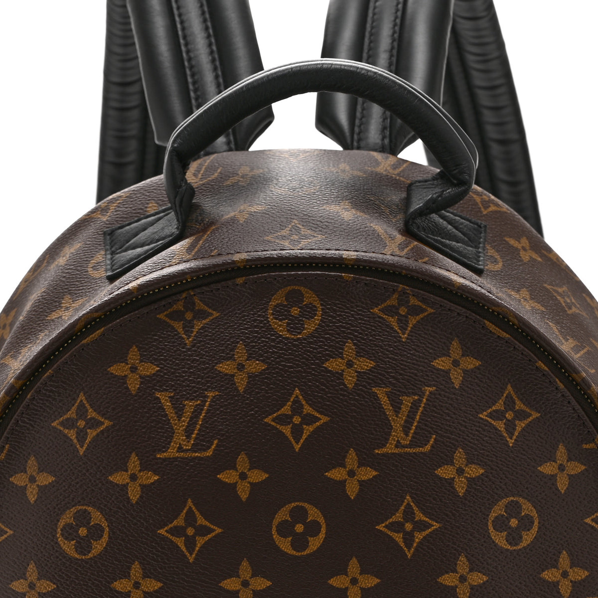 Monogram Palm Springs Backpack MM