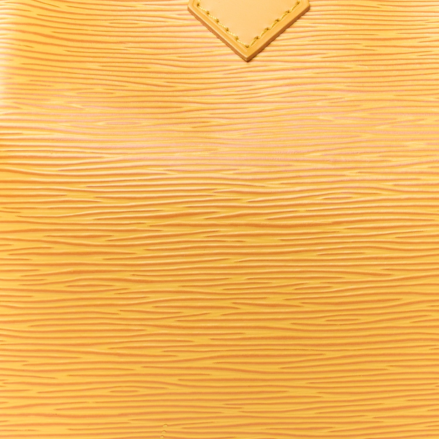 Louis Vuitton Epi Speedy 25 Tassil 11 of 14