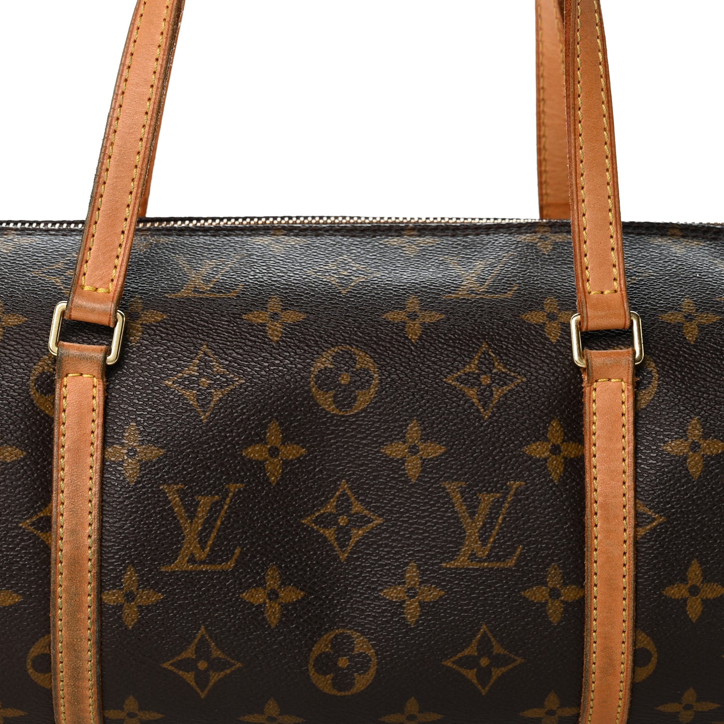 Monogram Papillon 30 with Companion