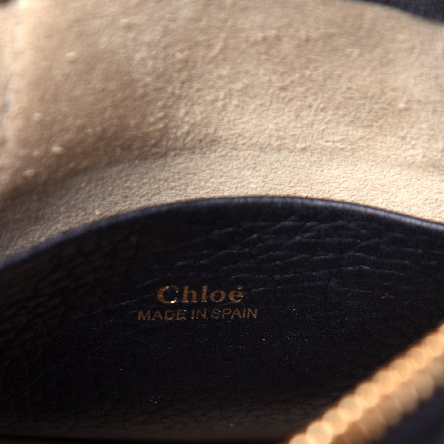 Grained Calfskin Nano Hayley Hobo Black