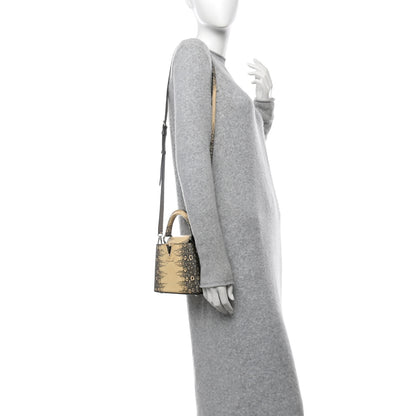 Louis Vuitton Lizard Ombre Capucines Mini Natural 2 of 11