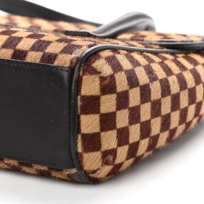 Louis Vuitton Damier Calf Hair Sauvage Lionne 14 of 14
