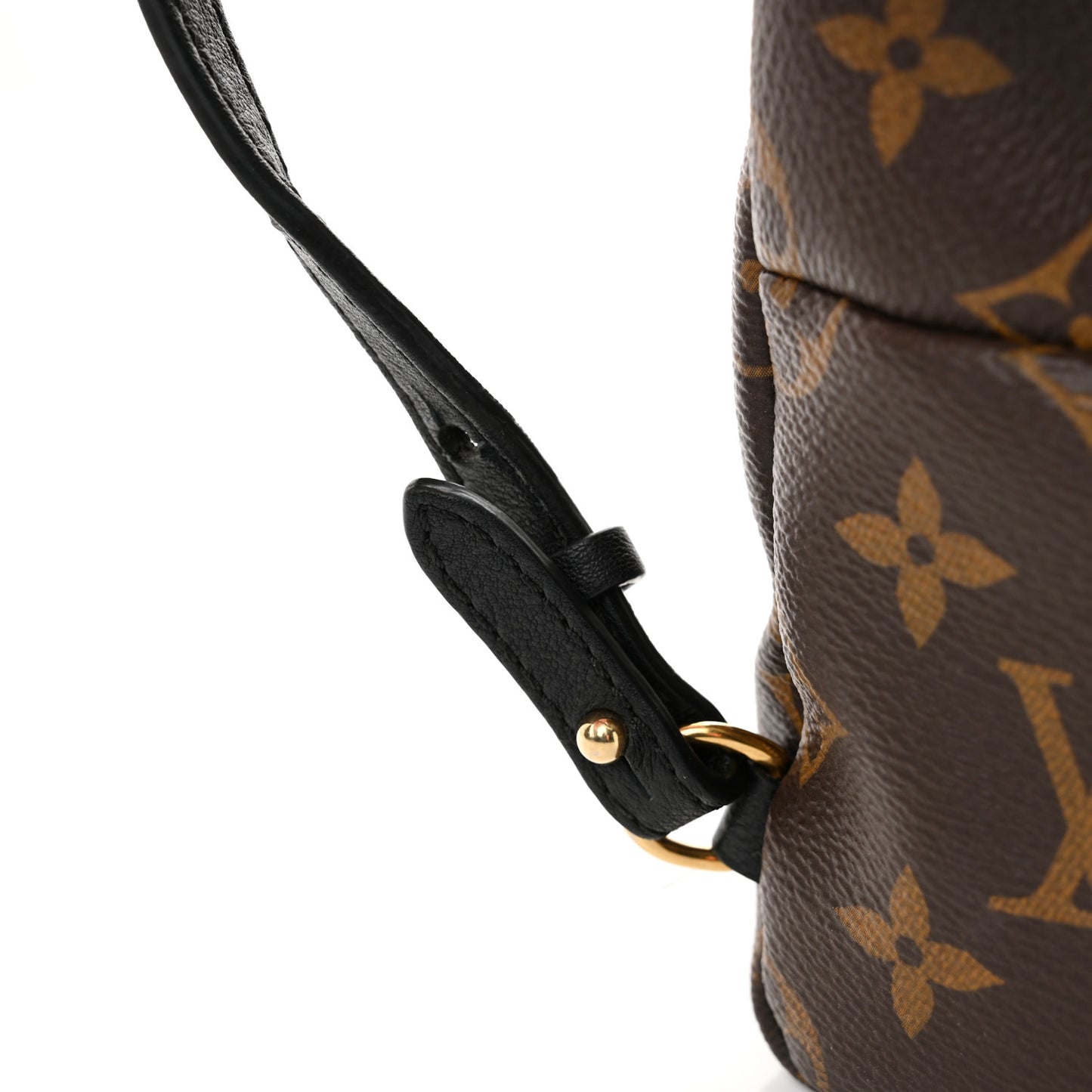 Monogram Palm Springs Backpack Mini