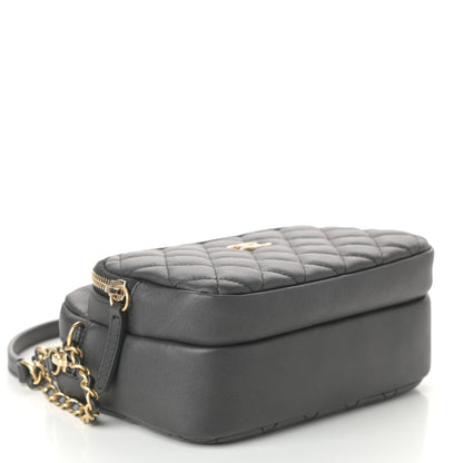 Chanel Calfskin Quilted Day Trips Camera Case Black 4 of 11