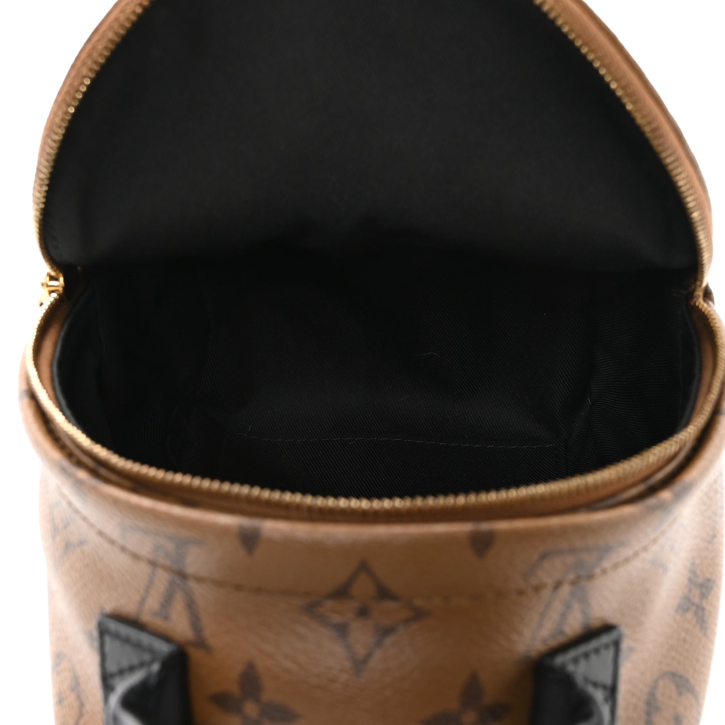 Reverse Monogram Palm Springs Backpack Mini