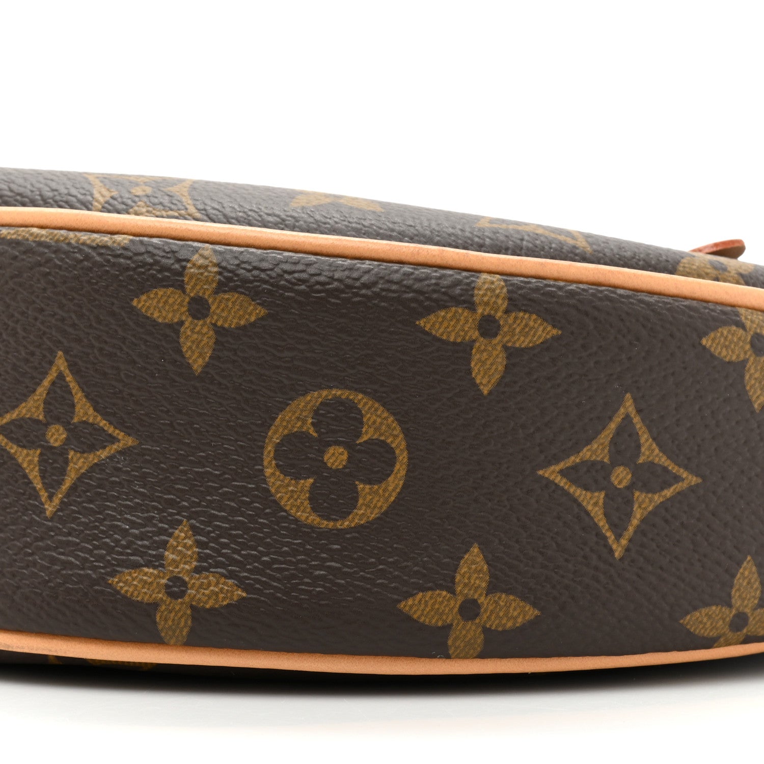 Louis Vuitton Monogram Loop 7 of 14