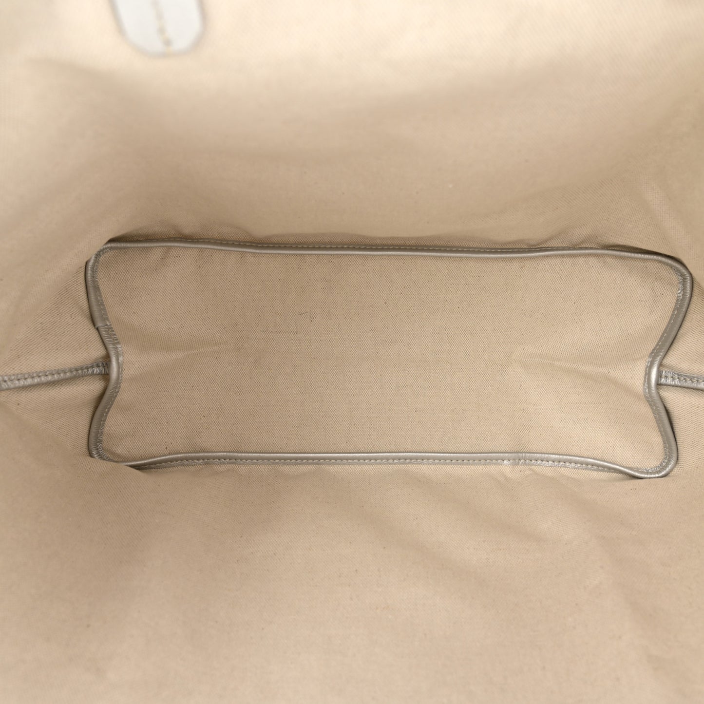 Goyardine Saint Louis PM Silver