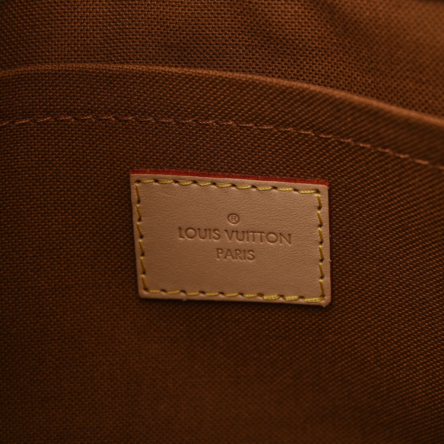 Monogram Multi Pochette Accessories Large Pochette