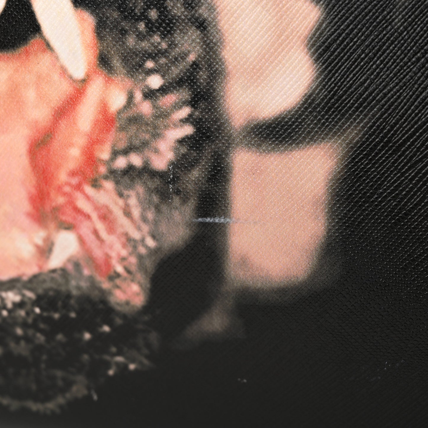 Textured Coated Canvas Rottweiler Print Large Antigona Tote Black