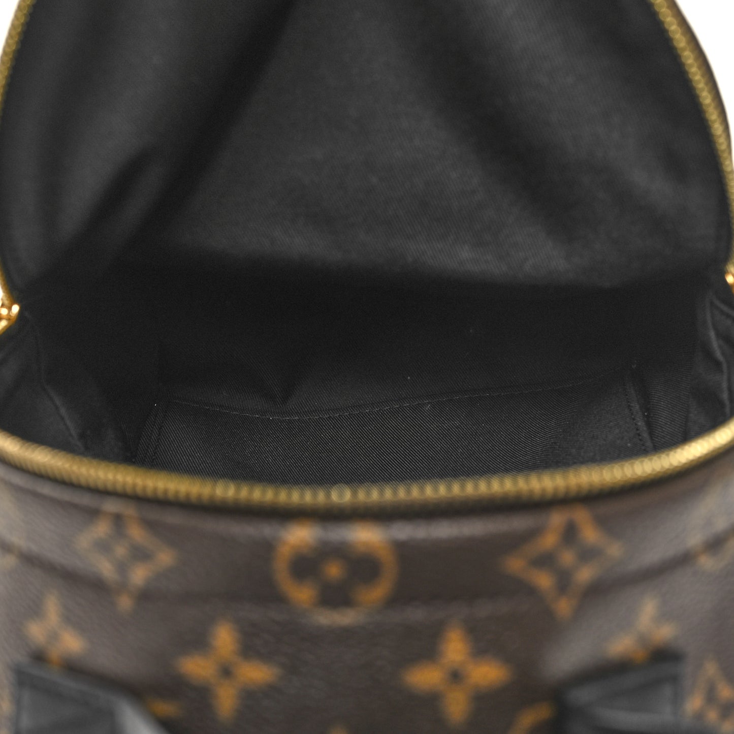 Monogram Palm Springs Backpack PM